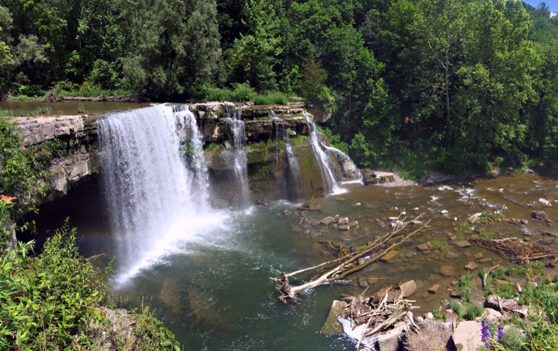 Life in the Slow Lane (The Pearl) June 28 Salmon Creek, Lansing, NY