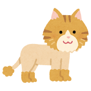 サマーカットの猫のイラスト