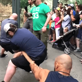 fb366658d4e9edb028021c865f370706a72a6d28.gif