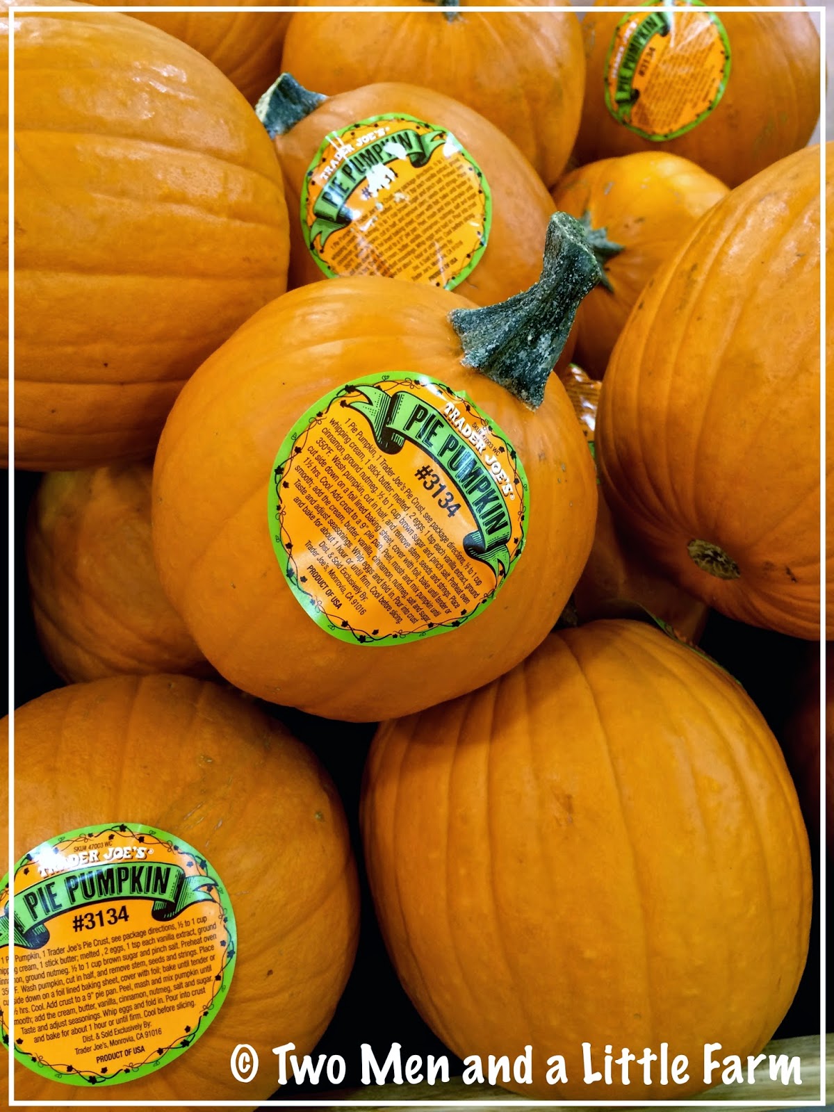 two-men-and-a-little-farm-what-are-pie-pumpkins