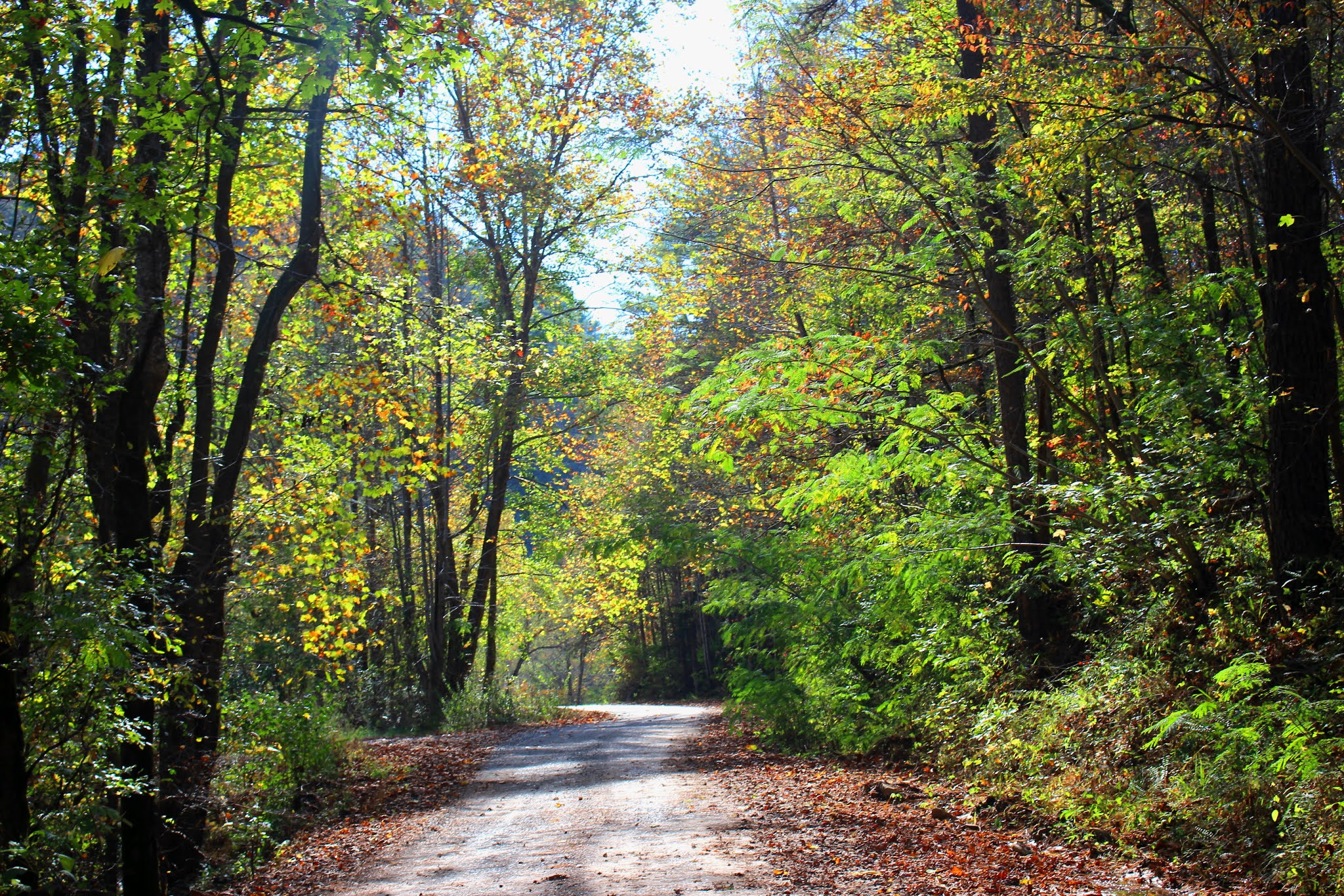 Cumberland Gal Joe Brown Highway Coker Creek to Murphy and Back