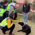 Primeras imágenes tras el rescate de la perra de asistencia Pocahontas por la policía  Ver vídeo