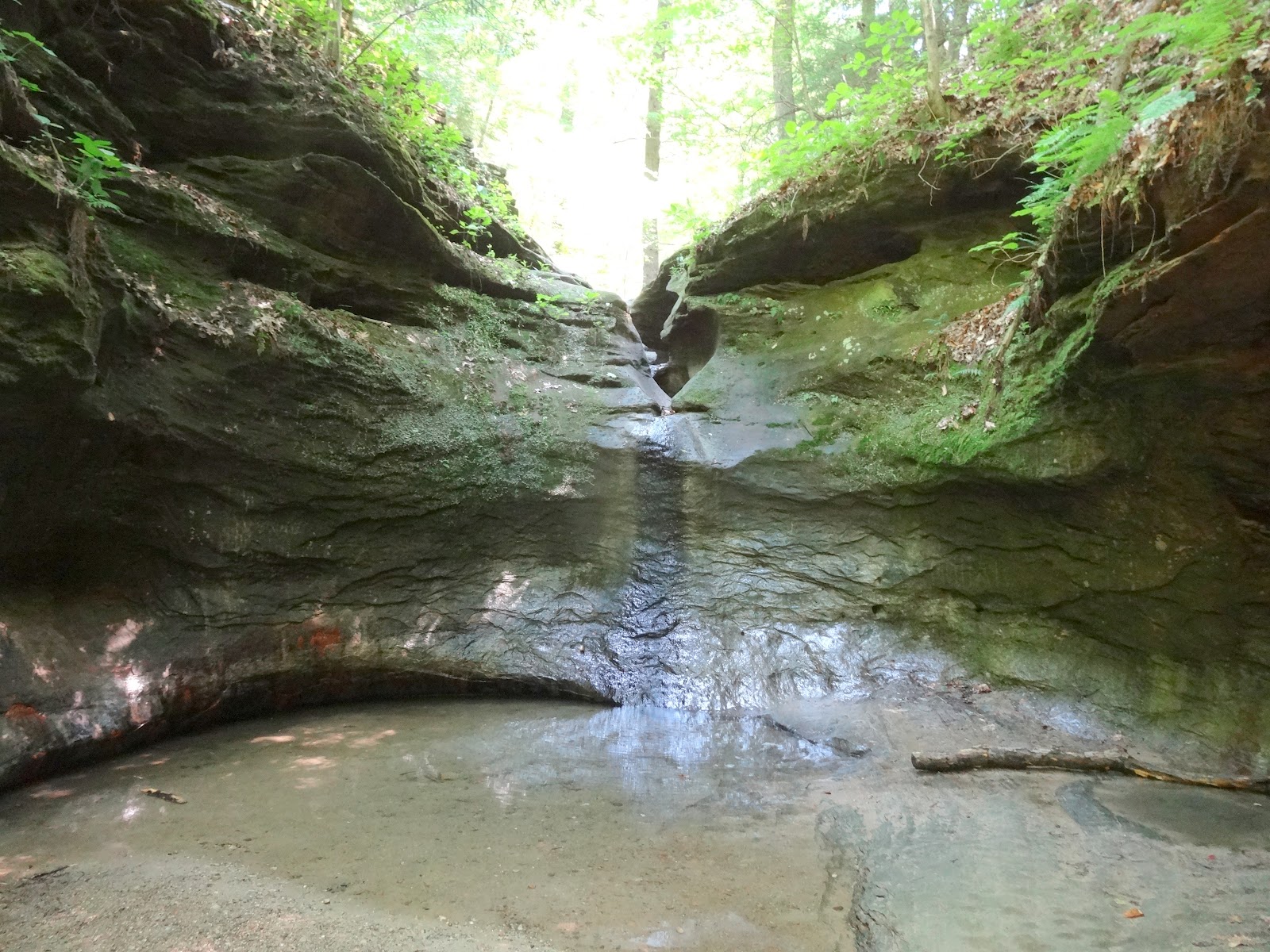 Life at the Blue Rock Ranch Turkey Run State Park