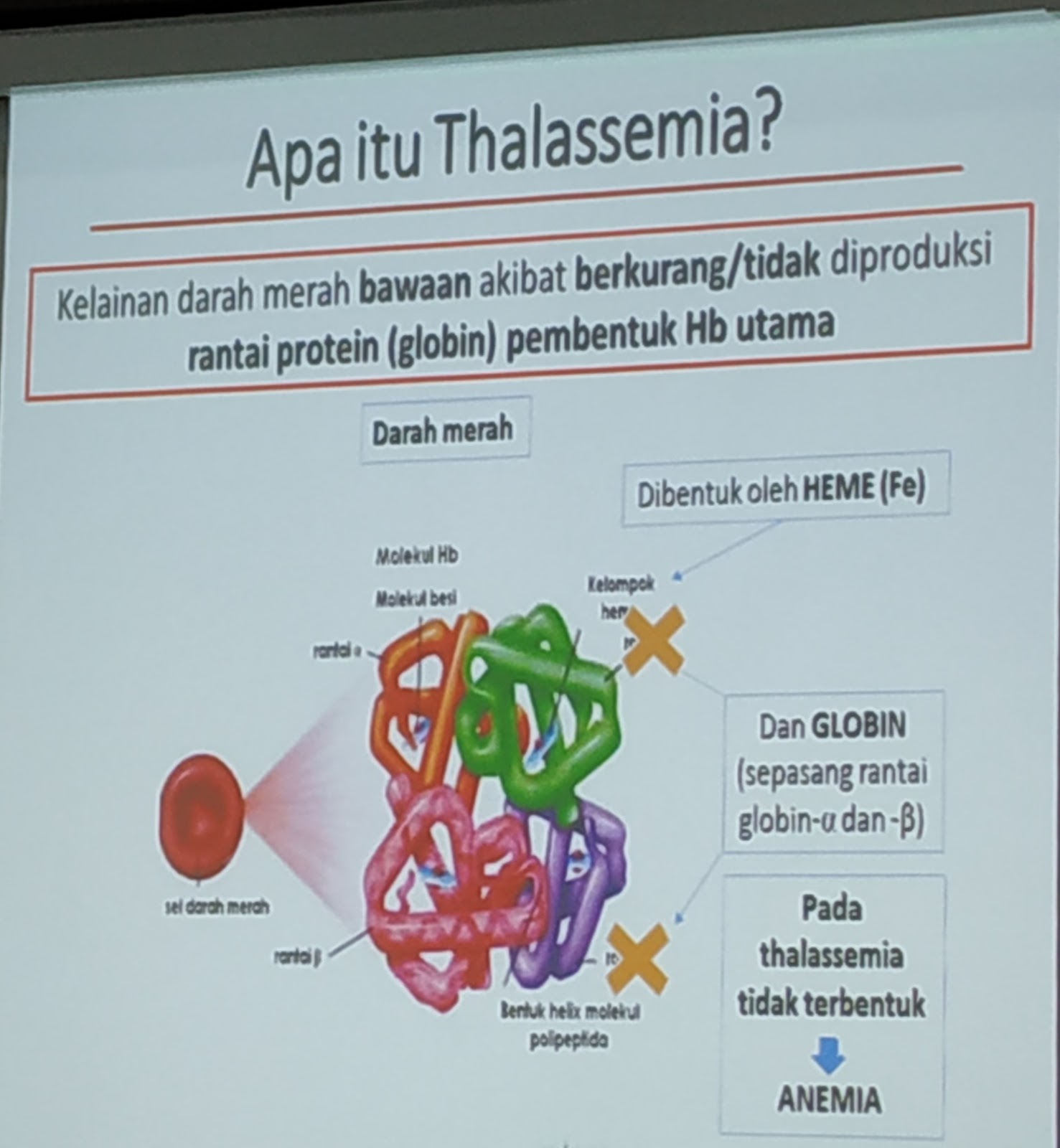 Thalassemia adalah