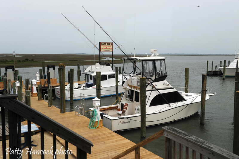 Artists Wachapreague, Virginia Flounder Capital of the World