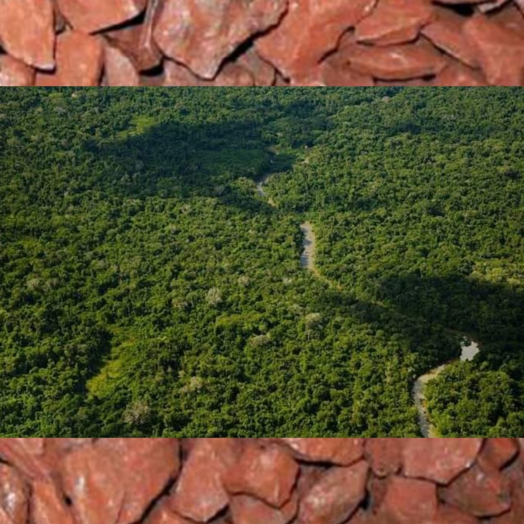 Vale decide devolver processos de mineração em terras indígenas