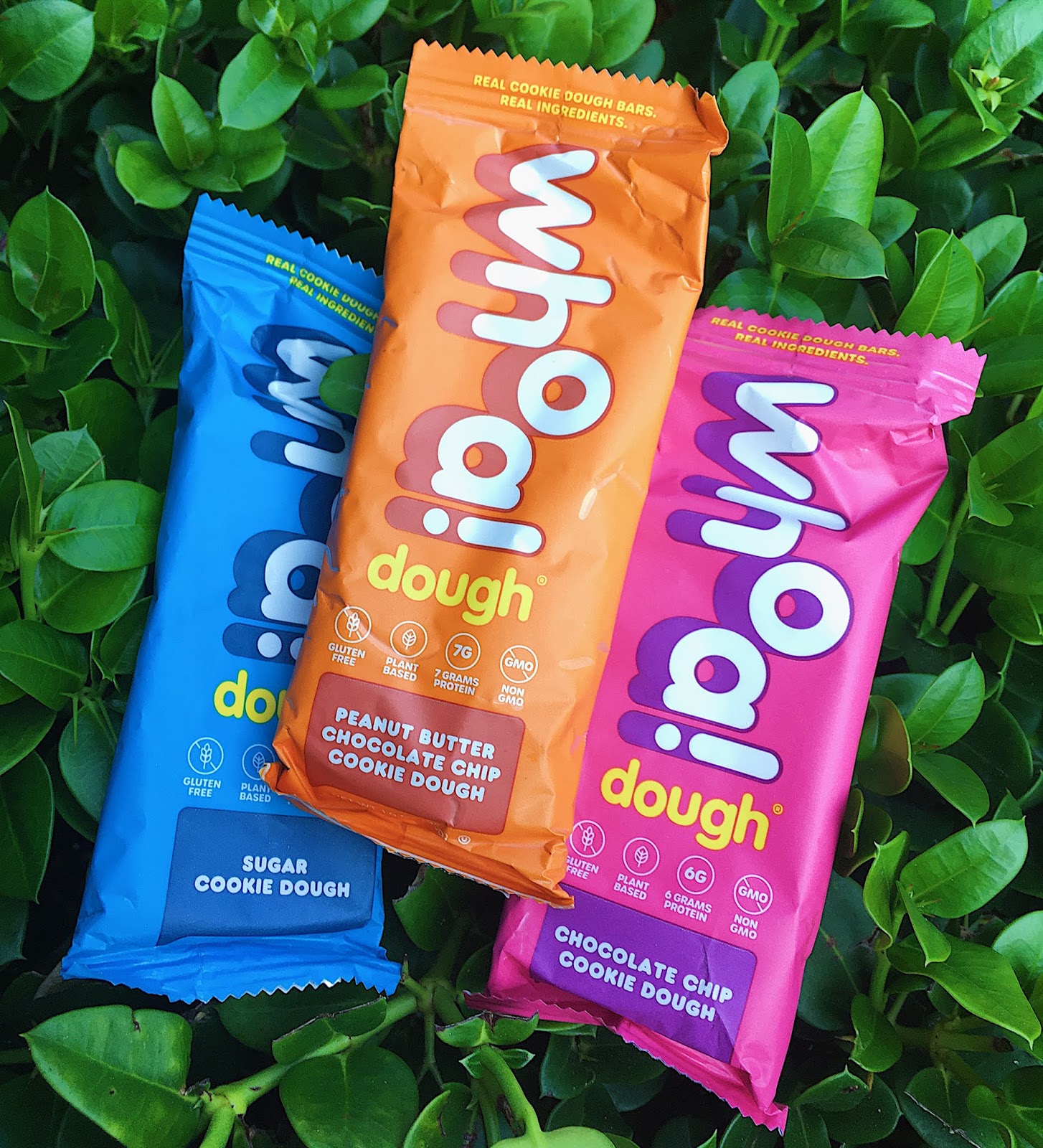 6 More of the Best Gluten Free Protein Bars