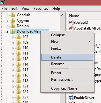 idm registered fake serial number