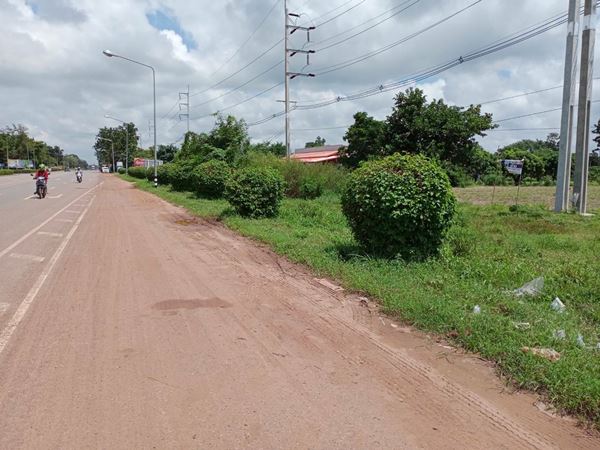 ขายด่วนที่ดินทำเลดี 11ไร่ ตรงข้ามโรงงานน้ำตาลมิตรผล กาฬสินธ์ อยู่ติดถนนใหญ่ 4 เลน