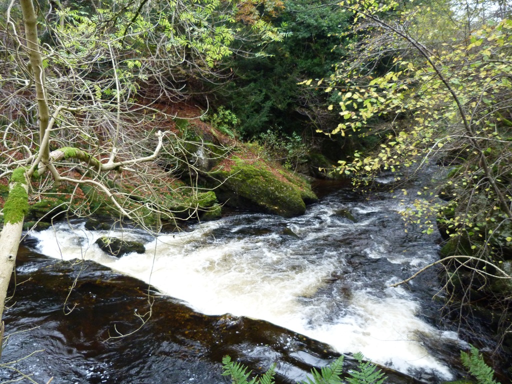 Memoirs of a Bed & Breakfast Owner Leaping Salmon at Buchanty Spout