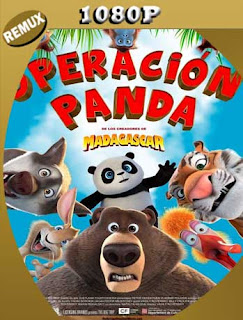 ¿Quien Perdió Un Panda? (2019) REMUX [1080p] Latino [GoogleDrive] SXGO