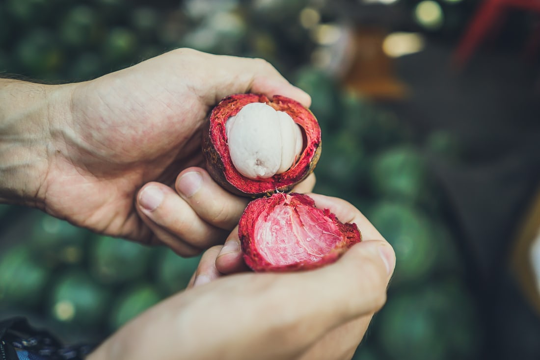 A life of a biologist Native fruit bearing trees of the Philippines