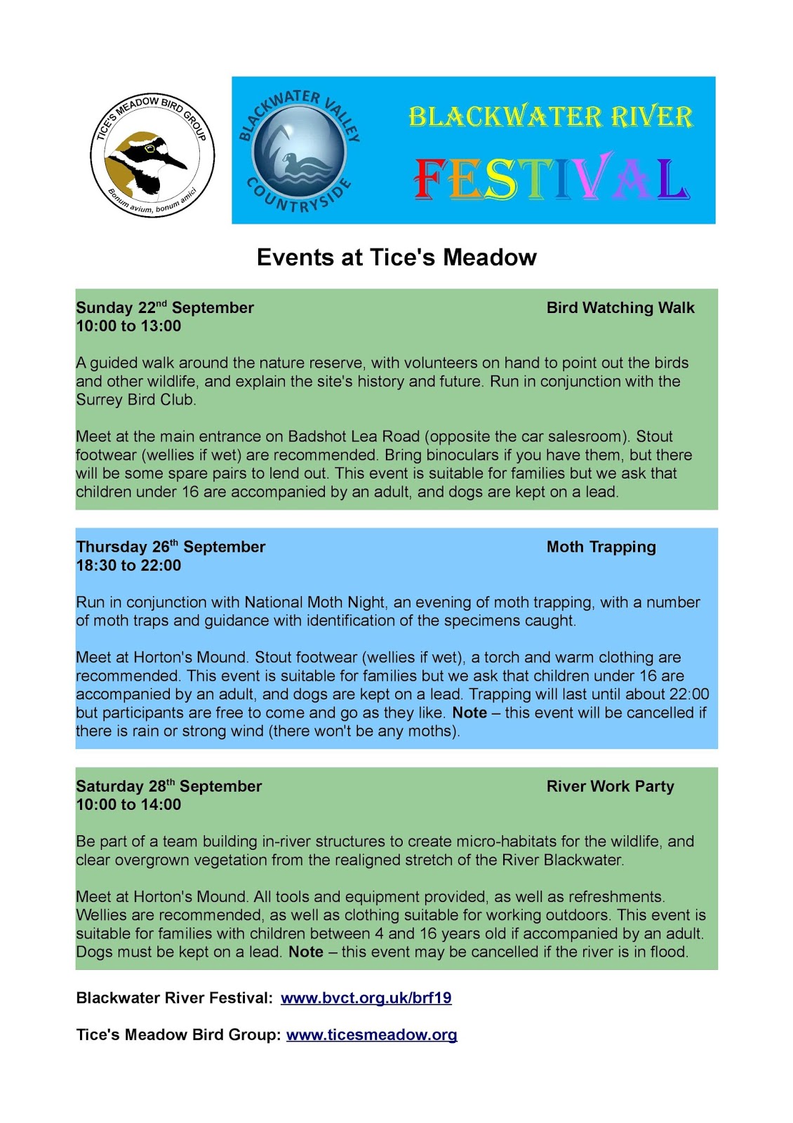 The Beauty Junkie Ranechin Com Lego Bring The Masters Of