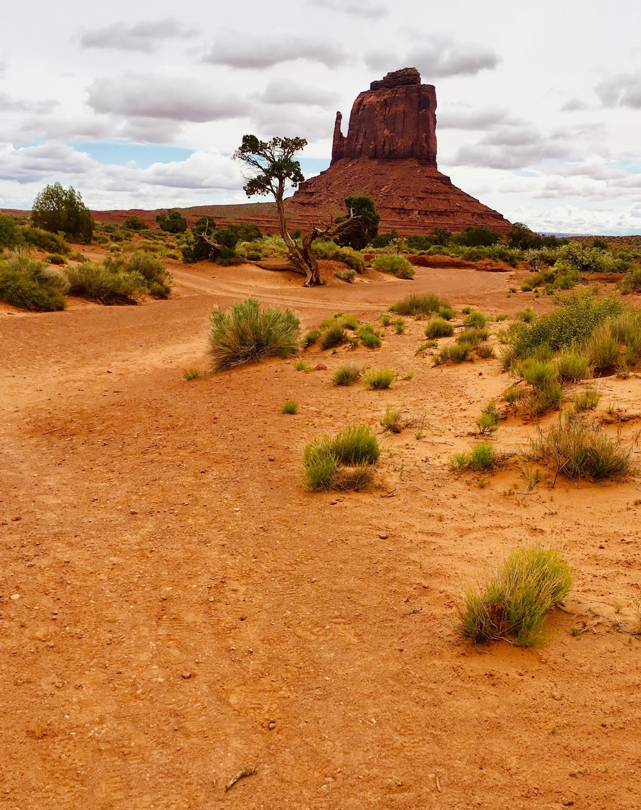Running Routes Monument Valley Wildcat Trail Running Route