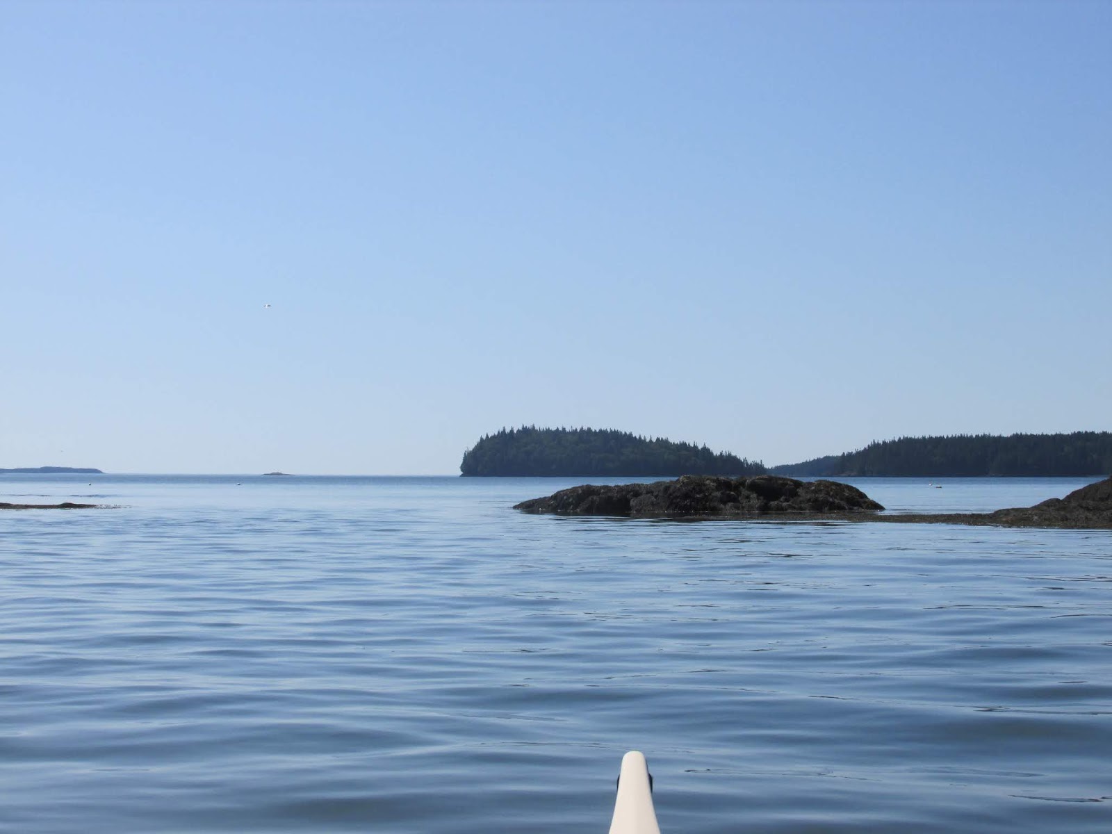 Machias Bay Rendezvous