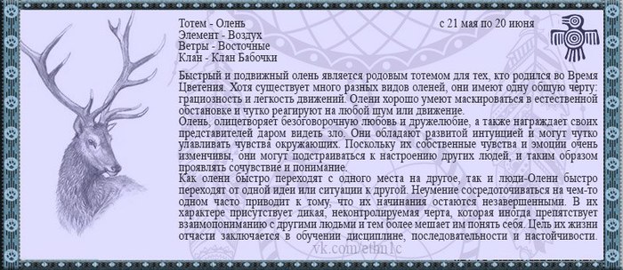 Славянский Гороскоп 1999