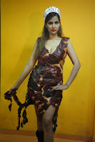 Tanisha+Singh+Hot+photo+shoot+Photos_23.