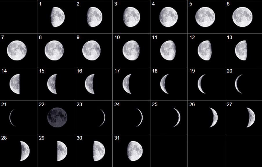 Фаза луны 2007. Молодая Луна. 6 Молодая Луна. 10 Июня 2008 фаза Луны. Луна 13 июня 2005.