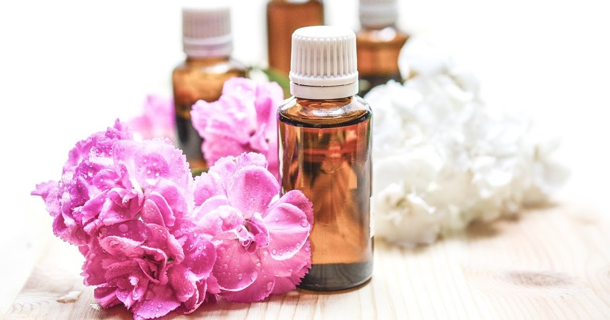 How To Get Rid of Dog Ticks 7 Best Home Remedies