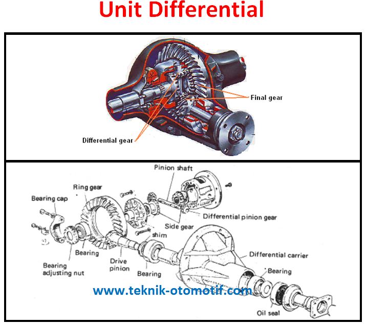 Fungsi Differential (Gardan) Pada Kendaraan BLACK OTO MOTIF