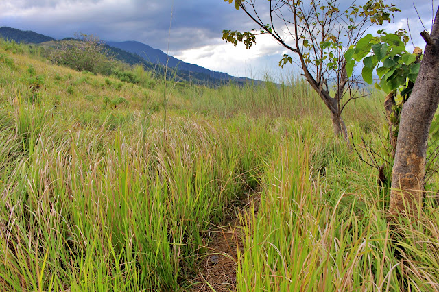 Mount Sawi Gabaldon Nueva Ecija