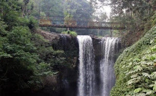 10 Tempat Wisata Alam di Bandung yang lagi Hits 2021 Taman Hutan Raya Ir Juanda