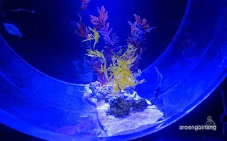 jakarta aquarium neo soho