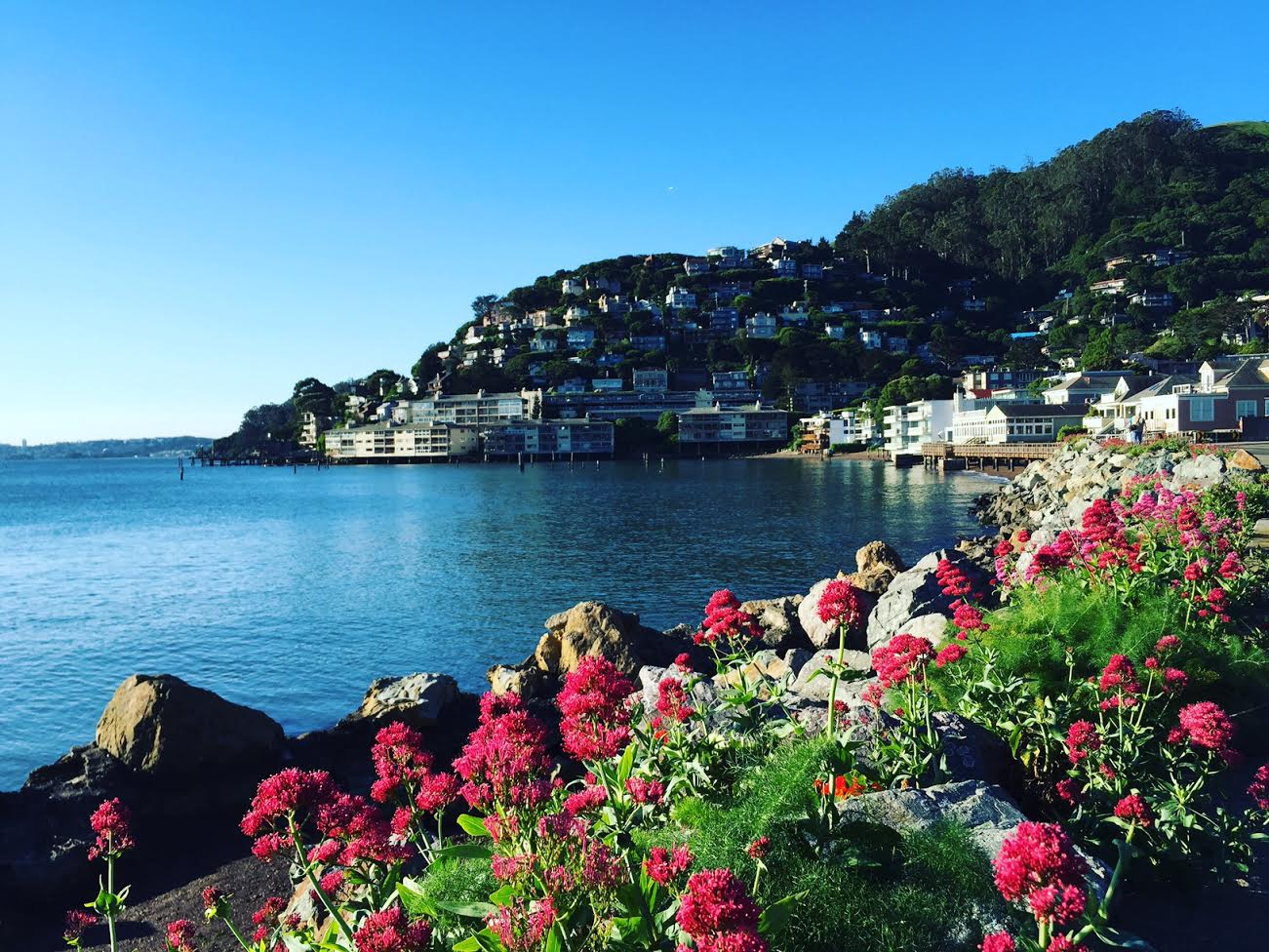 Weekend Travel Sausalito FRENCH COUNTRY COTTAGE