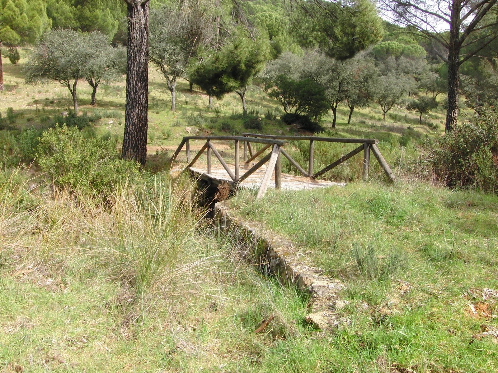 Foto de Fuente Pilar del Corchuelo en Villaviciosa de Córdoba, Córdoba