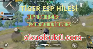 Pubg Mobile 0.18.0 Tiger Türkçe Esp Hileli Menu İndir 2020