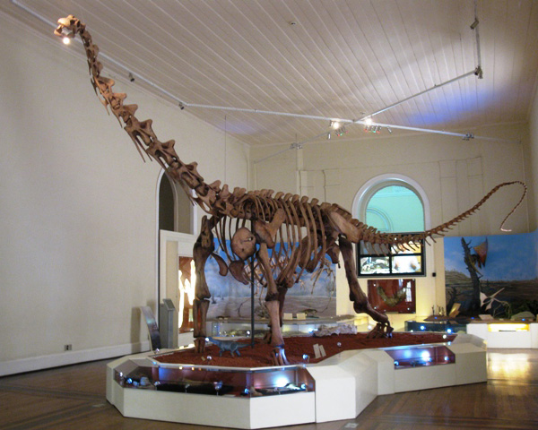 Mundo PréHistórico Maxacalissauro, o popular 