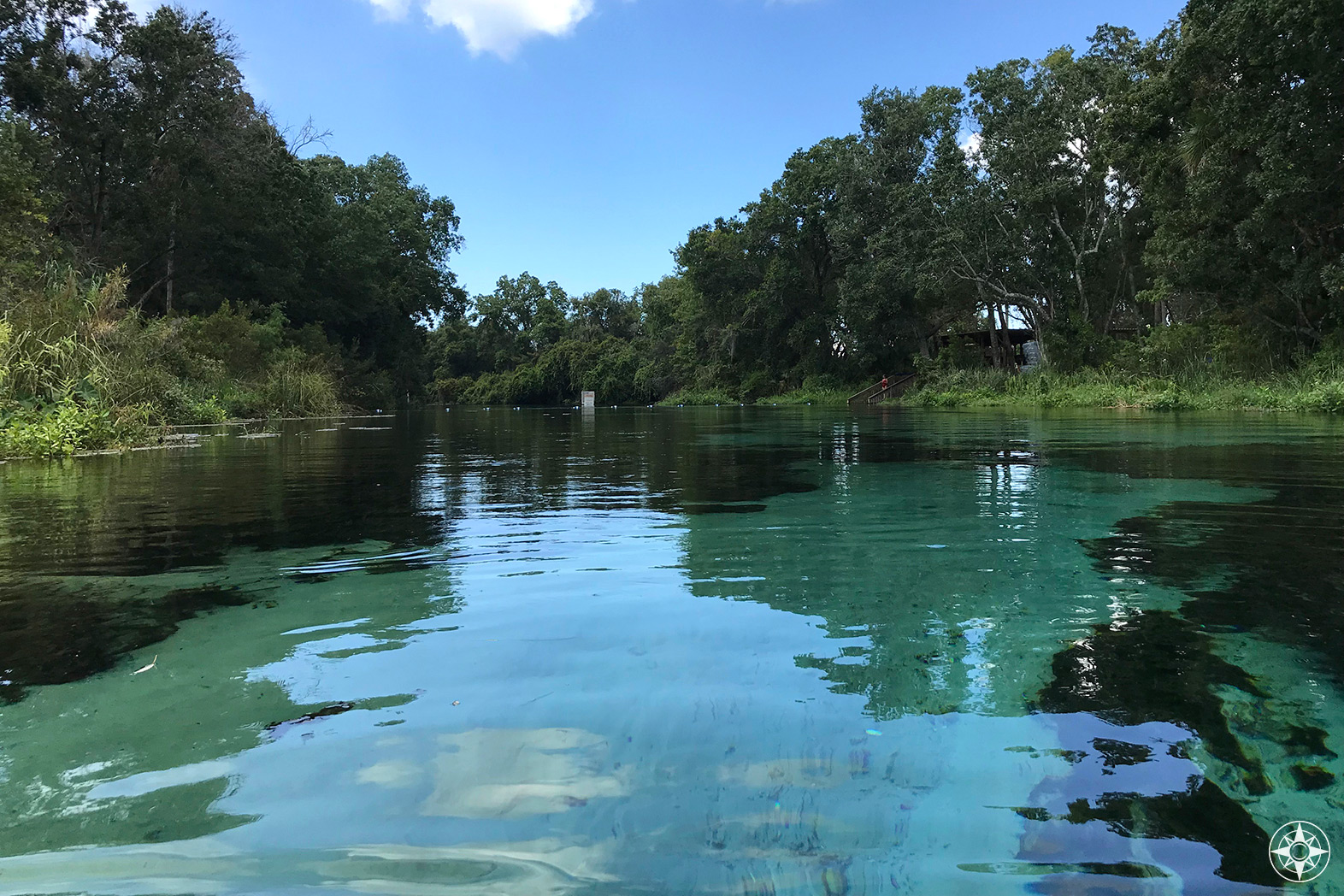 Photos from the Weeki Wachee River and Springs State Park (Florida
