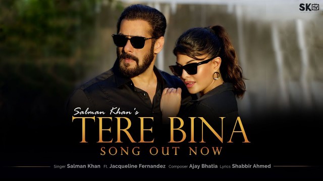 TERE BINA LYRICS-SALMAN KHAN-JACQUELINE FERNANDEZ