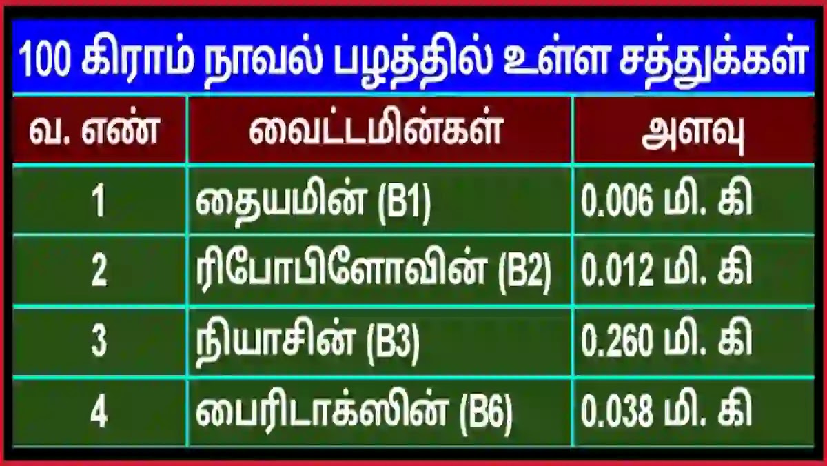 நாவல் பழத்தில் உள்ள சத்துக்கள் மற்றும் நன்மைகள் நாவல் பழத்தில் உள்ள சத்துக்கள் வைட்டமின்கள்