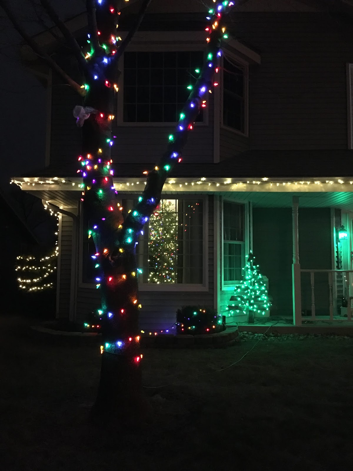 SunShine Sews... Holiday Decorations