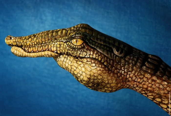 Guido Daniele 1950 | Hand and body painting