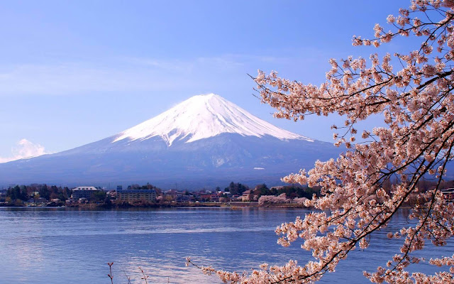 Where to see cherry blossom in Asia