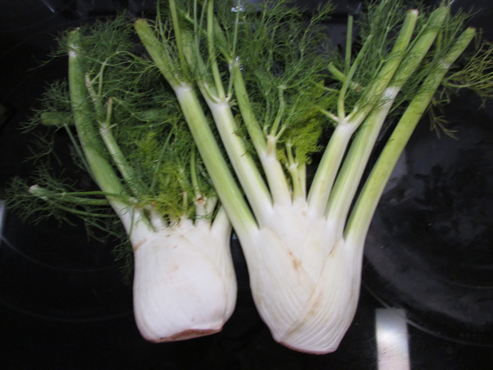 Modern Day Ozzie and Harriet Roasted Fennel Bulbs