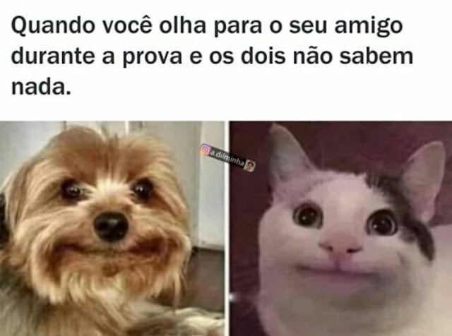 Memes+engra%25C3%25A7ados++%252837%2529.