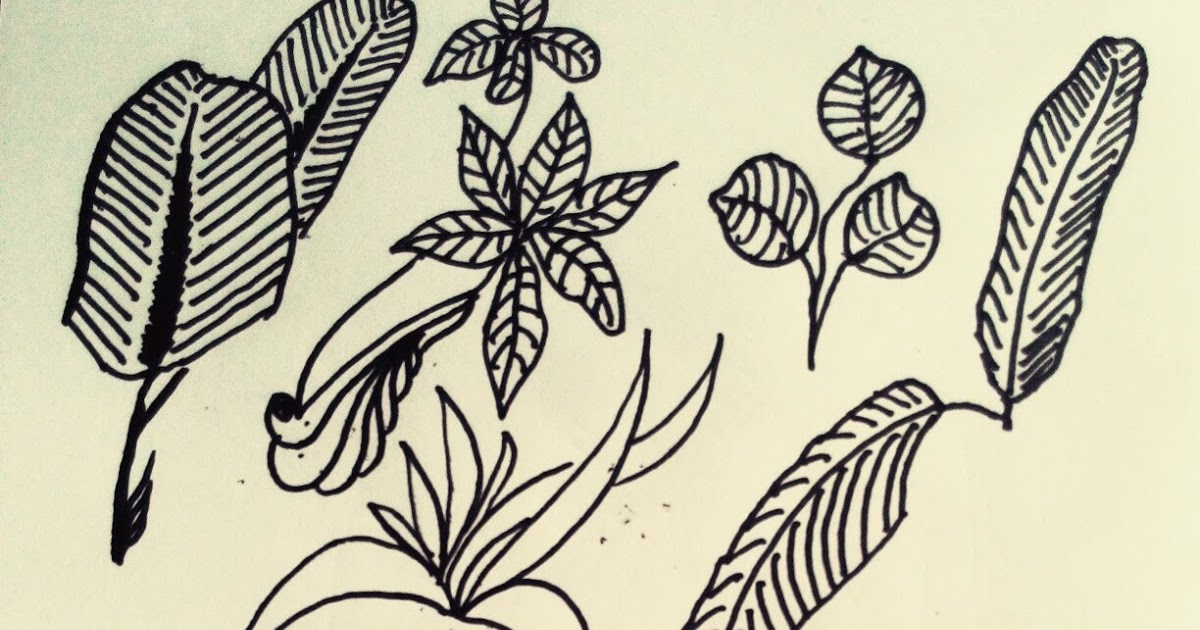 48+ Terkeren Gambar Dekoratif Motif Daun