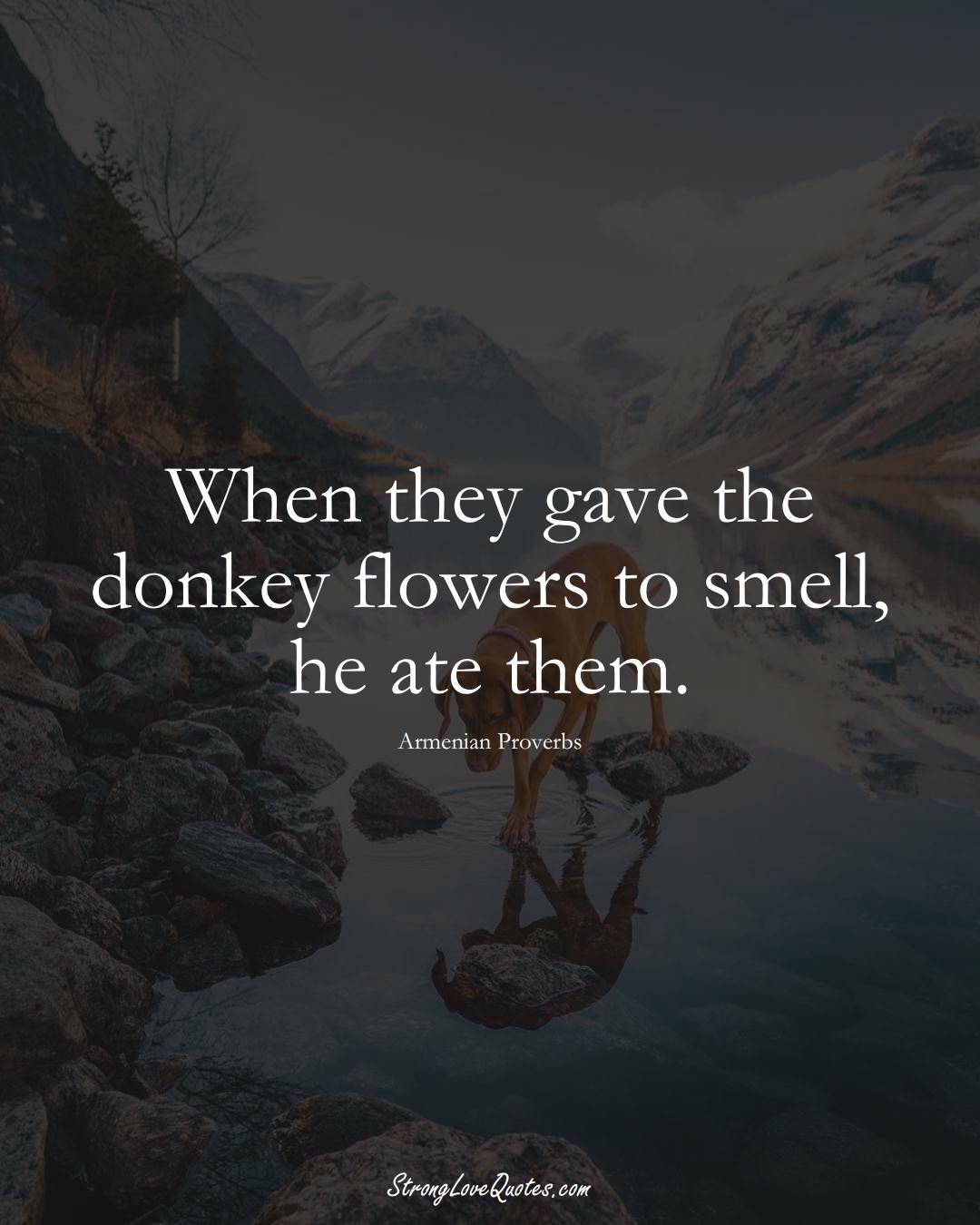 When they gave the donkey flowers to smell, he ate them. (Armenian Sayings);  #AsianSayings