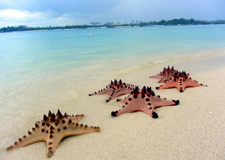 pulau pasir belitung