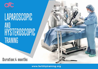 https://www.fertilitytraining.org/laparoscopyhysteroscopy-training