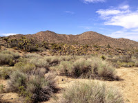 View northwest from Black Rock Canyon Trail toward summits 4789’ and 4842’, Joshua Tree National Park