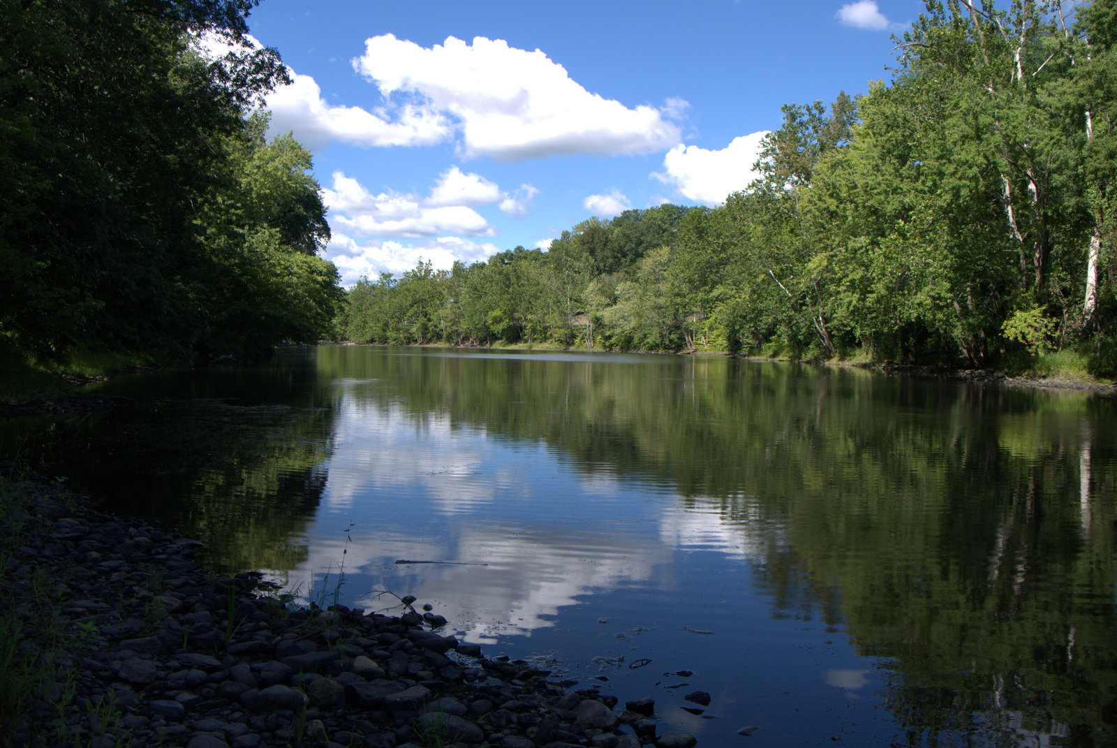 Along the NETCohos MM Section 2 Revisited Robinson S.P & Westfield