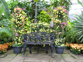 Allan Gardens Conservatory 2015 Chrysanthemum Show bench by garden muses-not another Toronto gardening blog