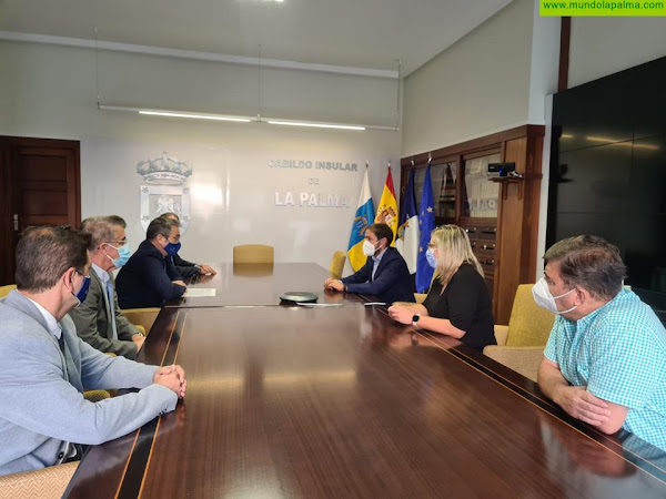 El Cabildo de La Palma recibe el reconocimiento de Asepeyo por sus políticas de prevención frente a la COVID-19