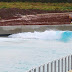Bizarre moment a passing swan rides the first waves at a new wave pool in Bristol