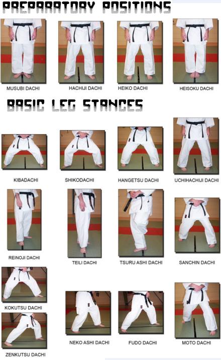 karate moves chart