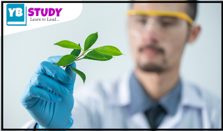 What is Biotechnology | Scope | Application What is Biotechnology | Scope | Application